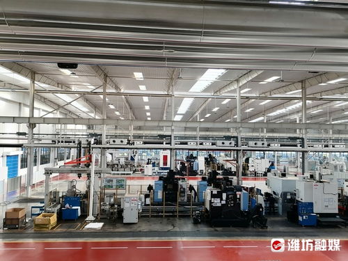 链长赋能，数字广告发布助推昌邑市链主企业高质量发展