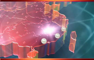 成都户外媒体代理全攻略 动车快铁平面媒体与机场数码媒体的市场分析与价值